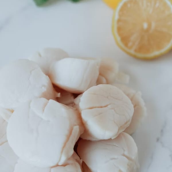 Fresh scallops on a white surface with a lemon half and green herbs in the background.